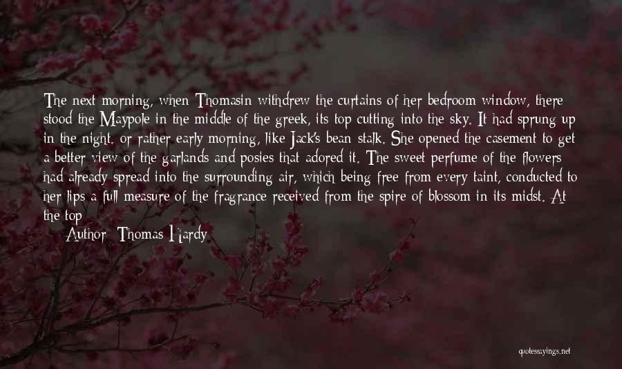 Thomas Hardy Quotes: The Next Morning, When Thomasin Withdrew The Curtains Of Her Bedroom Window, There Stood The Maypole In The Middle Of