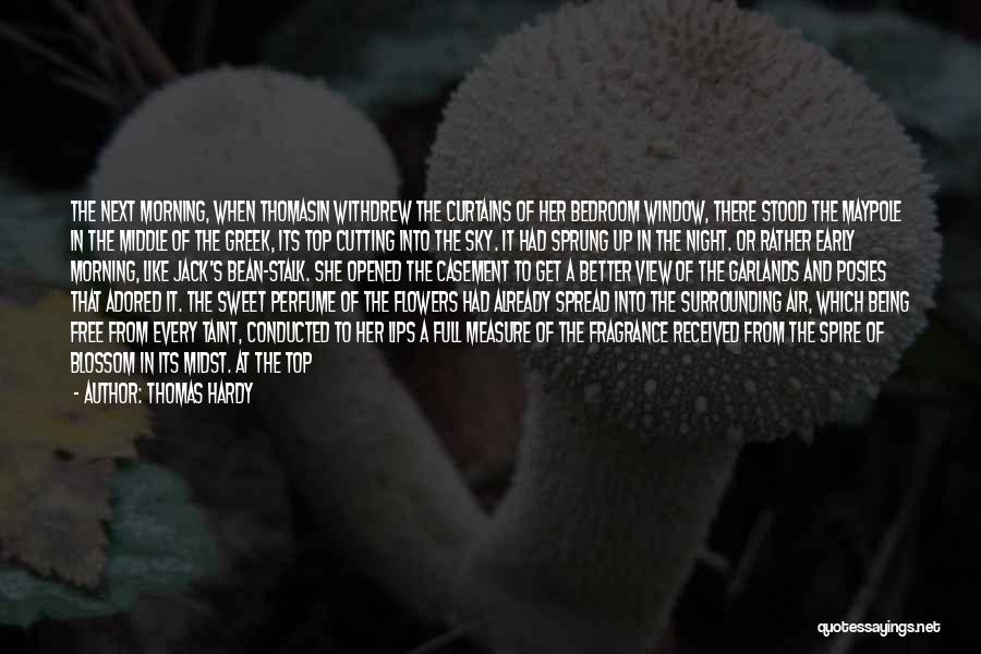 Thomas Hardy Quotes: The Next Morning, When Thomasin Withdrew The Curtains Of Her Bedroom Window, There Stood The Maypole In The Middle Of