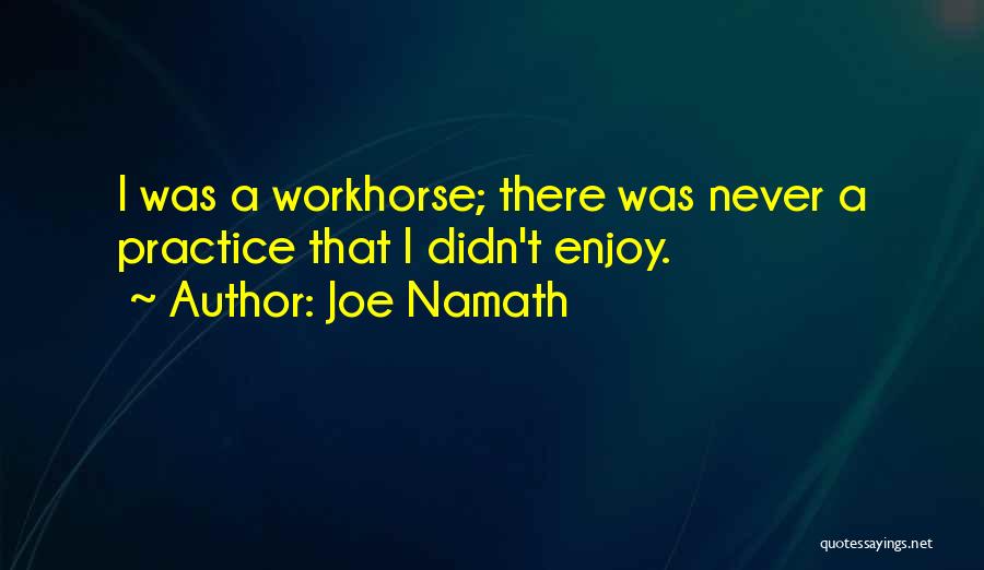 Joe Namath Quotes: I Was A Workhorse; There Was Never A Practice That I Didn't Enjoy.