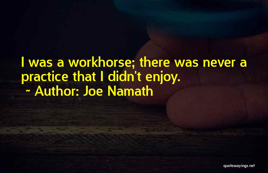 Joe Namath Quotes: I Was A Workhorse; There Was Never A Practice That I Didn't Enjoy.