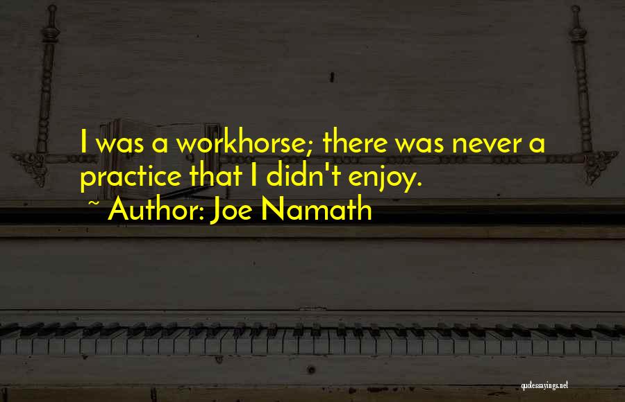 Joe Namath Quotes: I Was A Workhorse; There Was Never A Practice That I Didn't Enjoy.