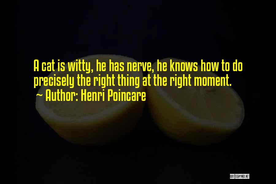 Henri Poincare Quotes: A Cat Is Witty, He Has Nerve, He Knows How To Do Precisely The Right Thing At The Right Moment.