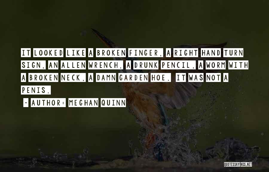 Meghan Quinn Quotes: It Looked Like A Broken Finger, A Right Hand Turn Sign, An Allen Wrench, A Drunk Pencil, A Worm With