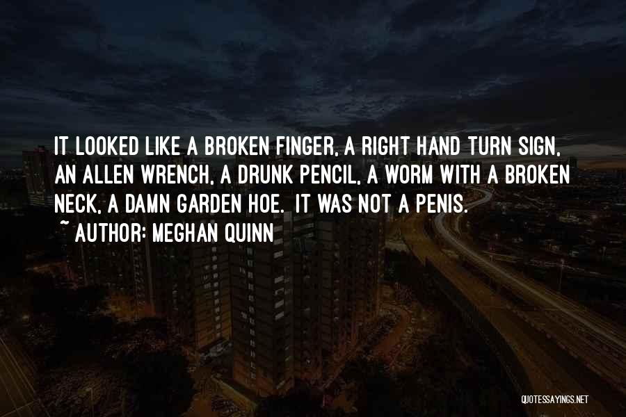 Meghan Quinn Quotes: It Looked Like A Broken Finger, A Right Hand Turn Sign, An Allen Wrench, A Drunk Pencil, A Worm With