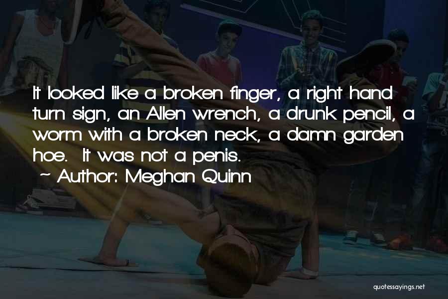 Meghan Quinn Quotes: It Looked Like A Broken Finger, A Right Hand Turn Sign, An Allen Wrench, A Drunk Pencil, A Worm With