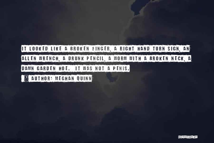 Meghan Quinn Quotes: It Looked Like A Broken Finger, A Right Hand Turn Sign, An Allen Wrench, A Drunk Pencil, A Worm With