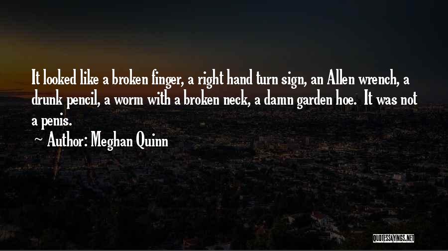 Meghan Quinn Quotes: It Looked Like A Broken Finger, A Right Hand Turn Sign, An Allen Wrench, A Drunk Pencil, A Worm With