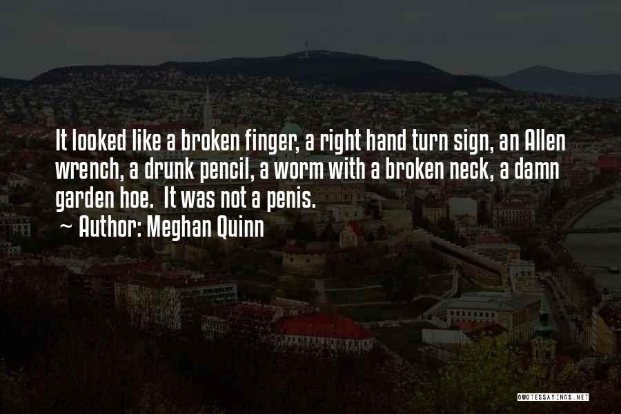 Meghan Quinn Quotes: It Looked Like A Broken Finger, A Right Hand Turn Sign, An Allen Wrench, A Drunk Pencil, A Worm With