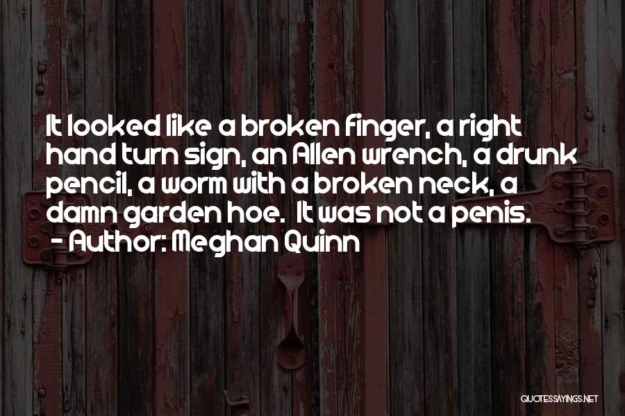 Meghan Quinn Quotes: It Looked Like A Broken Finger, A Right Hand Turn Sign, An Allen Wrench, A Drunk Pencil, A Worm With