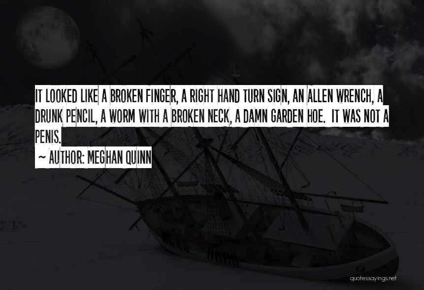 Meghan Quinn Quotes: It Looked Like A Broken Finger, A Right Hand Turn Sign, An Allen Wrench, A Drunk Pencil, A Worm With
