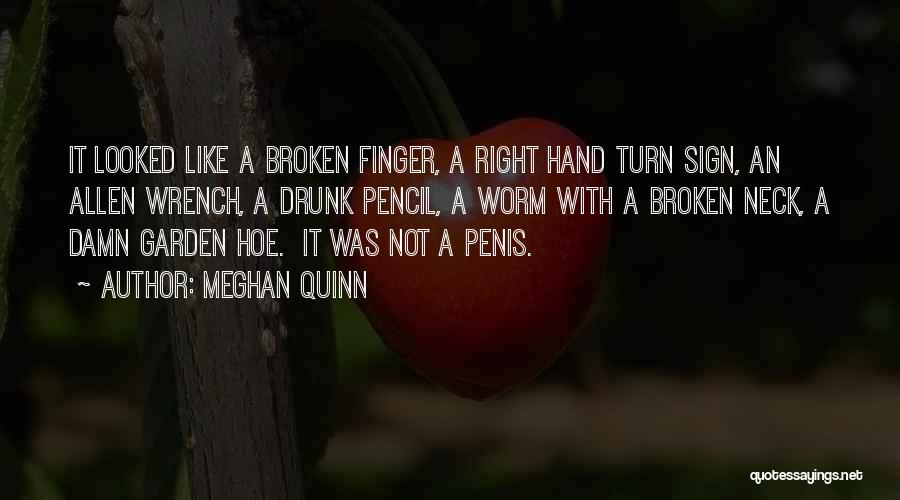 Meghan Quinn Quotes: It Looked Like A Broken Finger, A Right Hand Turn Sign, An Allen Wrench, A Drunk Pencil, A Worm With