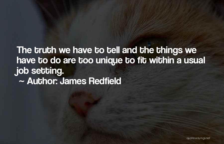 James Redfield Quotes: The Truth We Have To Tell And The Things We Have To Do Are Too Unique To Fit Within A