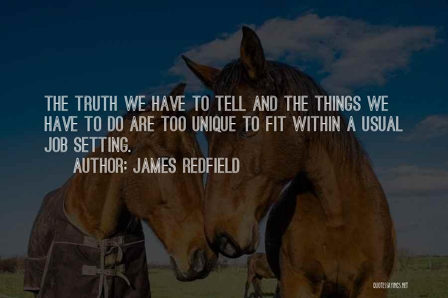 James Redfield Quotes: The Truth We Have To Tell And The Things We Have To Do Are Too Unique To Fit Within A