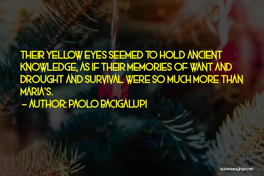 Paolo Bacigalupi Quotes: Their Yellow Eyes Seemed To Hold Ancient Knowledge, As If Their Memories Of Want And Drought And Survival Were So