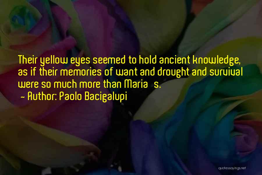 Paolo Bacigalupi Quotes: Their Yellow Eyes Seemed To Hold Ancient Knowledge, As If Their Memories Of Want And Drought And Survival Were So