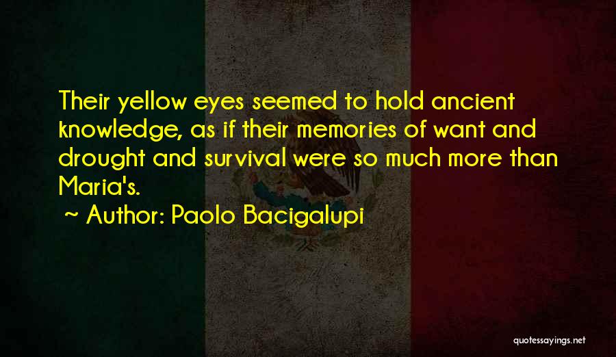 Paolo Bacigalupi Quotes: Their Yellow Eyes Seemed To Hold Ancient Knowledge, As If Their Memories Of Want And Drought And Survival Were So