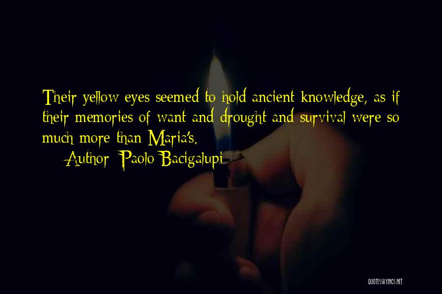 Paolo Bacigalupi Quotes: Their Yellow Eyes Seemed To Hold Ancient Knowledge, As If Their Memories Of Want And Drought And Survival Were So
