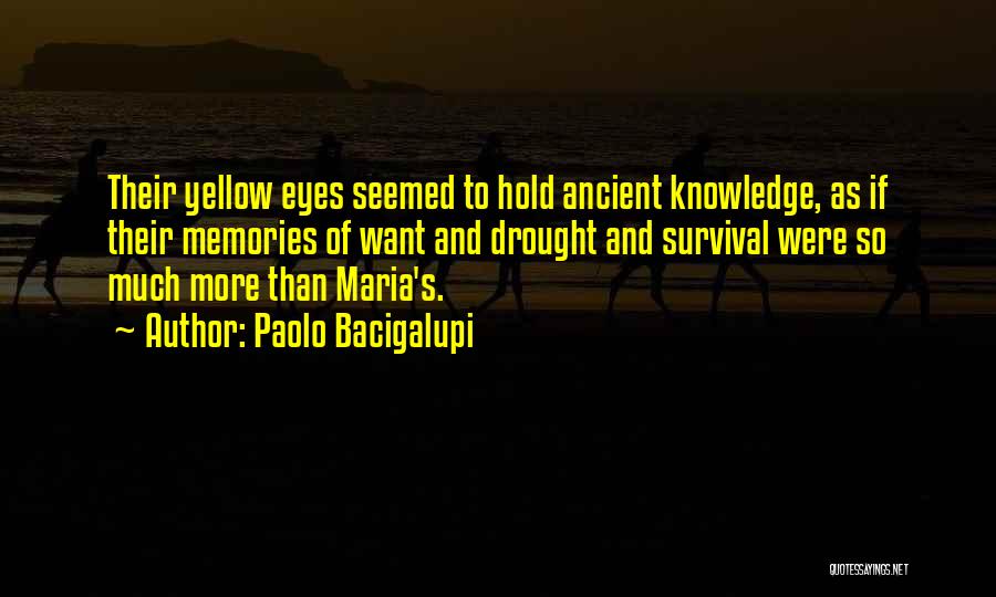 Paolo Bacigalupi Quotes: Their Yellow Eyes Seemed To Hold Ancient Knowledge, As If Their Memories Of Want And Drought And Survival Were So