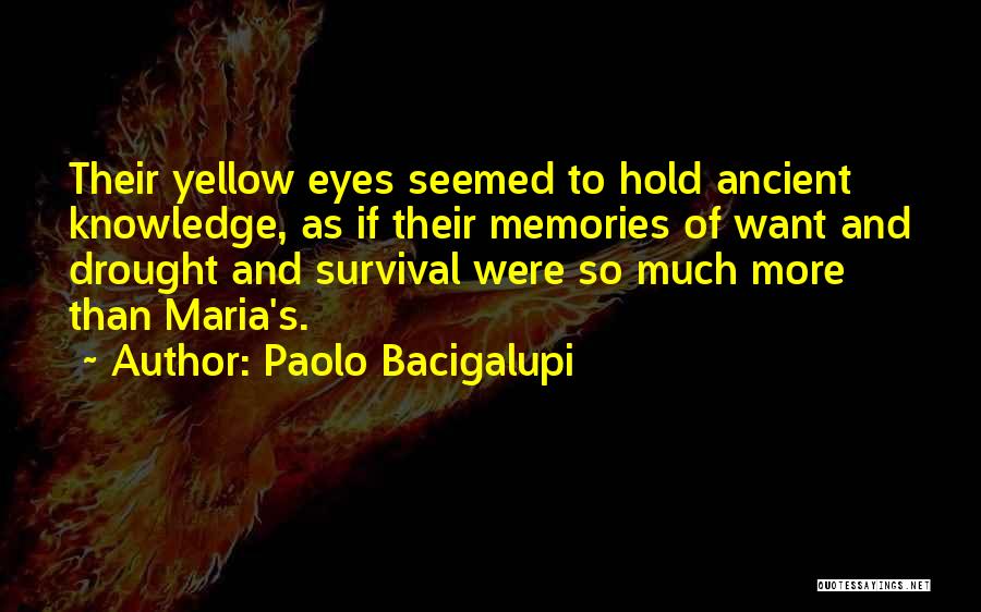 Paolo Bacigalupi Quotes: Their Yellow Eyes Seemed To Hold Ancient Knowledge, As If Their Memories Of Want And Drought And Survival Were So