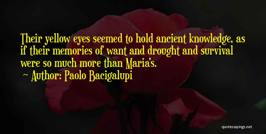 Paolo Bacigalupi Quotes: Their Yellow Eyes Seemed To Hold Ancient Knowledge, As If Their Memories Of Want And Drought And Survival Were So