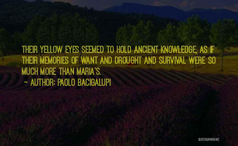 Paolo Bacigalupi Quotes: Their Yellow Eyes Seemed To Hold Ancient Knowledge, As If Their Memories Of Want And Drought And Survival Were So