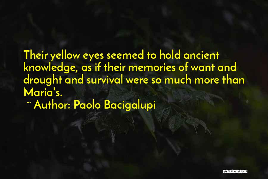 Paolo Bacigalupi Quotes: Their Yellow Eyes Seemed To Hold Ancient Knowledge, As If Their Memories Of Want And Drought And Survival Were So
