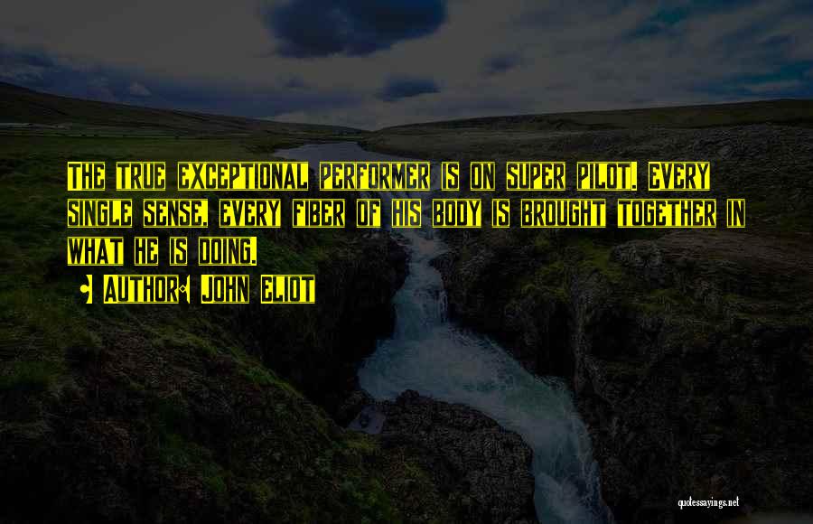 John Eliot Quotes: The True Exceptional Performer Is On Super Pilot. Every Single Sense, Every Fiber Of His Body Is Brought Together In