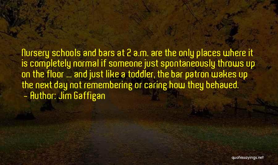 Jim Gaffigan Quotes: Nursery Schools And Bars At 2 A.m. Are The Only Places Where It Is Completely Normal If Someone Just Spontaneously