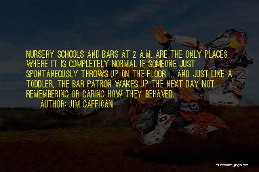 Jim Gaffigan Quotes: Nursery Schools And Bars At 2 A.m. Are The Only Places Where It Is Completely Normal If Someone Just Spontaneously