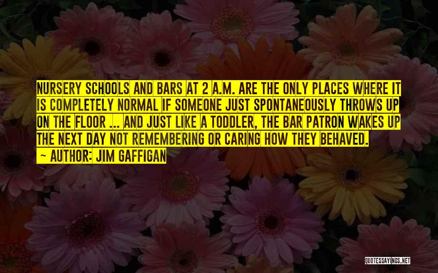 Jim Gaffigan Quotes: Nursery Schools And Bars At 2 A.m. Are The Only Places Where It Is Completely Normal If Someone Just Spontaneously