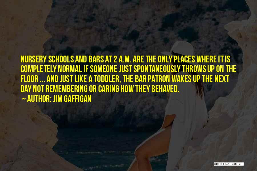 Jim Gaffigan Quotes: Nursery Schools And Bars At 2 A.m. Are The Only Places Where It Is Completely Normal If Someone Just Spontaneously