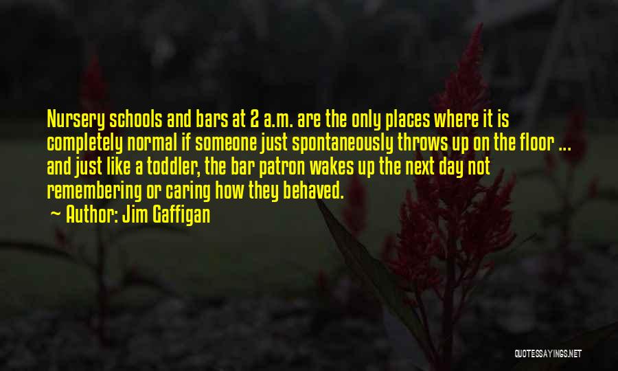 Jim Gaffigan Quotes: Nursery Schools And Bars At 2 A.m. Are The Only Places Where It Is Completely Normal If Someone Just Spontaneously