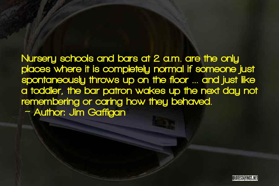 Jim Gaffigan Quotes: Nursery Schools And Bars At 2 A.m. Are The Only Places Where It Is Completely Normal If Someone Just Spontaneously