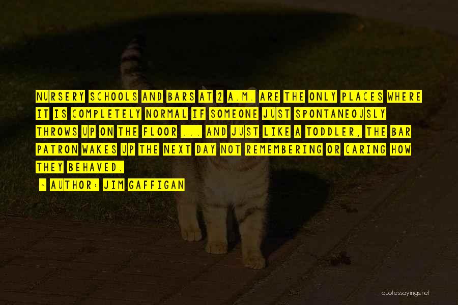 Jim Gaffigan Quotes: Nursery Schools And Bars At 2 A.m. Are The Only Places Where It Is Completely Normal If Someone Just Spontaneously