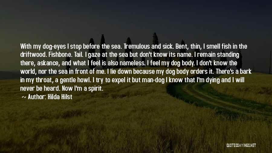 Hilda Hilst Quotes: With My Dog-eyes I Stop Before The Sea. Tremulous And Sick. Bent, Thin, I Smell Fish In The Driftwood. Fishbone.