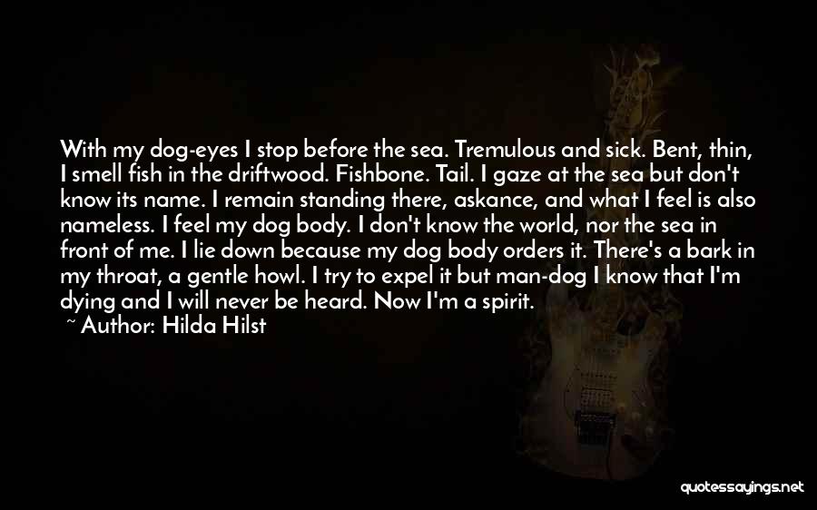 Hilda Hilst Quotes: With My Dog-eyes I Stop Before The Sea. Tremulous And Sick. Bent, Thin, I Smell Fish In The Driftwood. Fishbone.