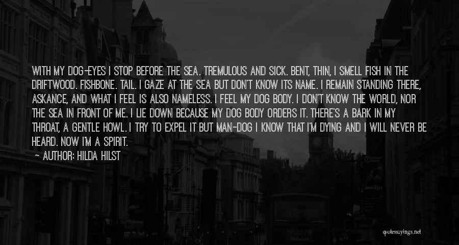 Hilda Hilst Quotes: With My Dog-eyes I Stop Before The Sea. Tremulous And Sick. Bent, Thin, I Smell Fish In The Driftwood. Fishbone.