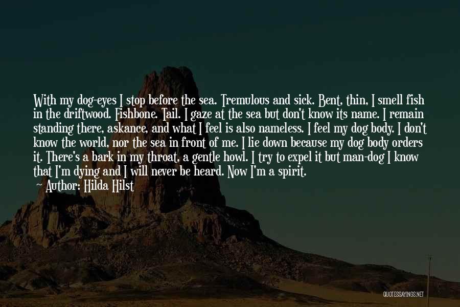 Hilda Hilst Quotes: With My Dog-eyes I Stop Before The Sea. Tremulous And Sick. Bent, Thin, I Smell Fish In The Driftwood. Fishbone.