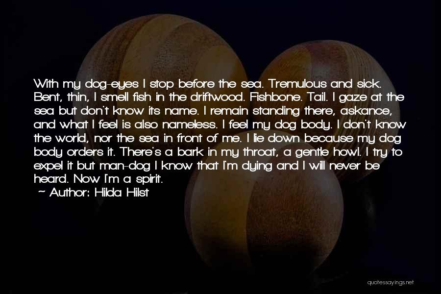 Hilda Hilst Quotes: With My Dog-eyes I Stop Before The Sea. Tremulous And Sick. Bent, Thin, I Smell Fish In The Driftwood. Fishbone.