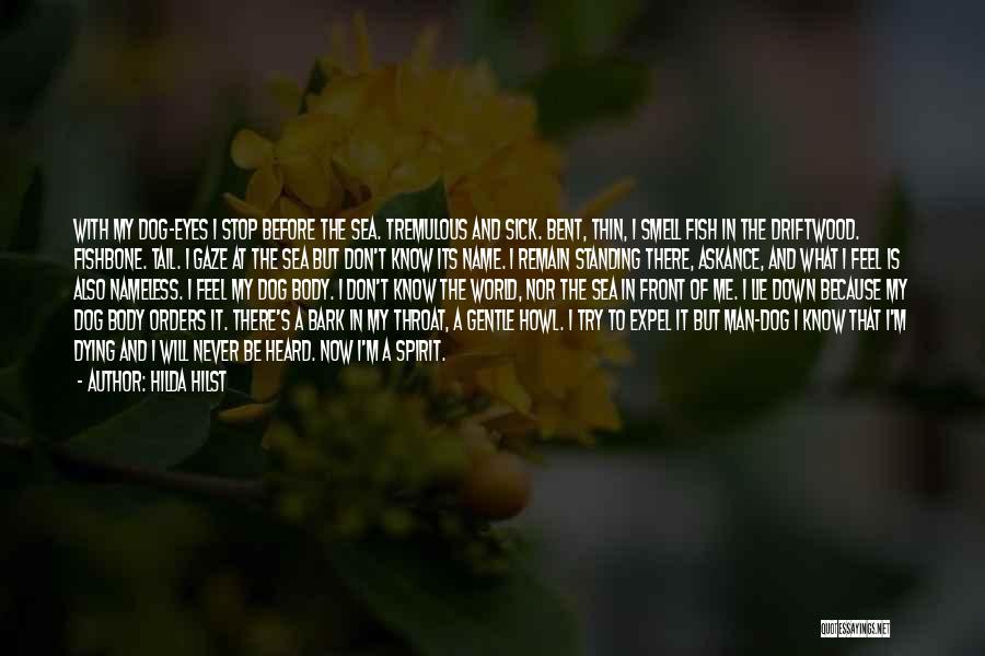 Hilda Hilst Quotes: With My Dog-eyes I Stop Before The Sea. Tremulous And Sick. Bent, Thin, I Smell Fish In The Driftwood. Fishbone.