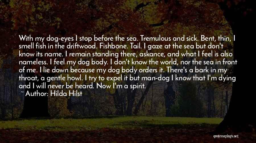 Hilda Hilst Quotes: With My Dog-eyes I Stop Before The Sea. Tremulous And Sick. Bent, Thin, I Smell Fish In The Driftwood. Fishbone.