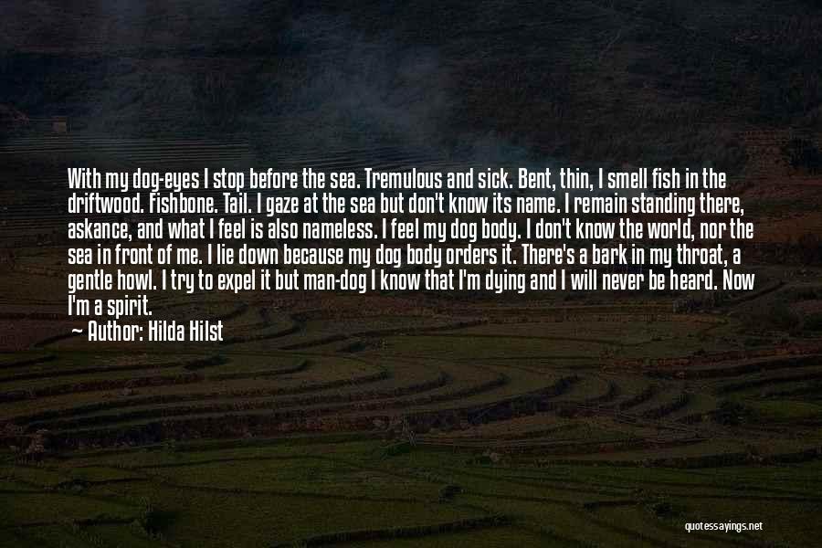 Hilda Hilst Quotes: With My Dog-eyes I Stop Before The Sea. Tremulous And Sick. Bent, Thin, I Smell Fish In The Driftwood. Fishbone.