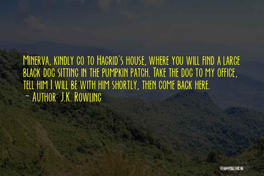 J.K. Rowling Quotes: Minerva, Kindly Go To Hagrid's House, Where You Will Find A Large Black Dog Sitting In The Pumpkin Patch. Take