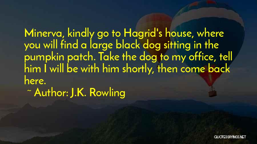 J.K. Rowling Quotes: Minerva, Kindly Go To Hagrid's House, Where You Will Find A Large Black Dog Sitting In The Pumpkin Patch. Take