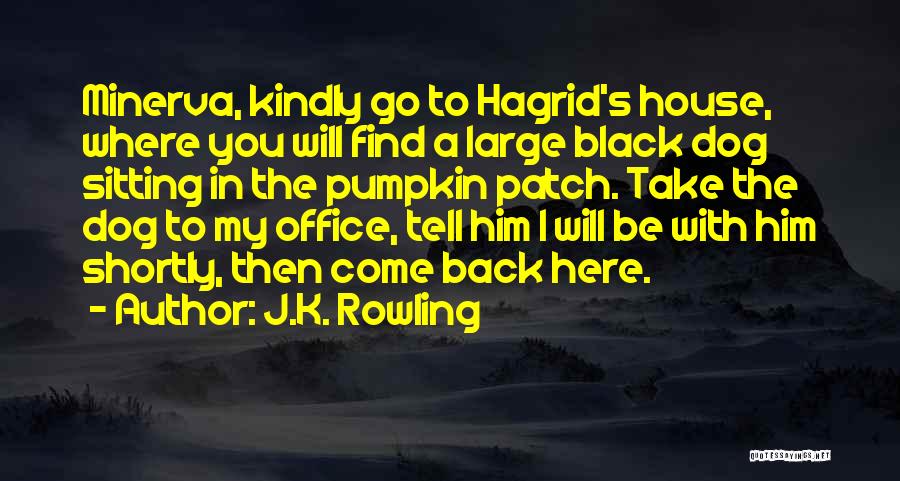 J.K. Rowling Quotes: Minerva, Kindly Go To Hagrid's House, Where You Will Find A Large Black Dog Sitting In The Pumpkin Patch. Take