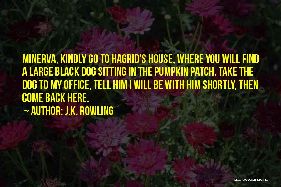 J.K. Rowling Quotes: Minerva, Kindly Go To Hagrid's House, Where You Will Find A Large Black Dog Sitting In The Pumpkin Patch. Take