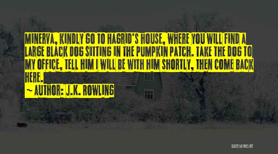 J.K. Rowling Quotes: Minerva, Kindly Go To Hagrid's House, Where You Will Find A Large Black Dog Sitting In The Pumpkin Patch. Take