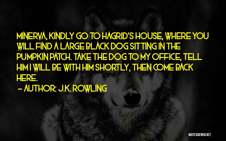 J.K. Rowling Quotes: Minerva, Kindly Go To Hagrid's House, Where You Will Find A Large Black Dog Sitting In The Pumpkin Patch. Take