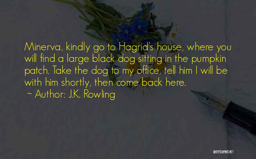 J.K. Rowling Quotes: Minerva, Kindly Go To Hagrid's House, Where You Will Find A Large Black Dog Sitting In The Pumpkin Patch. Take