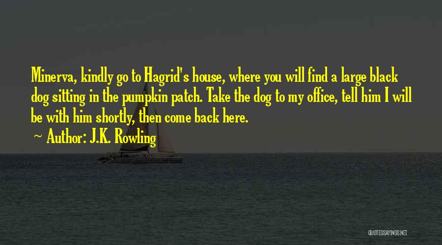 J.K. Rowling Quotes: Minerva, Kindly Go To Hagrid's House, Where You Will Find A Large Black Dog Sitting In The Pumpkin Patch. Take